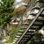 1 BR - 1 Ba Apt 2 thumbnail