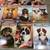 ♥ ♥ ♥ PUPPY PLACE BOOKS By ELLEN MILES ~ 15 PAPERBACK BOOKS 5 thumbnail