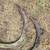 John deere orchard shanks 2.25 inch bar 3 thumbnail