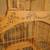 Antique Victorian Birdcage 6 thumbnail