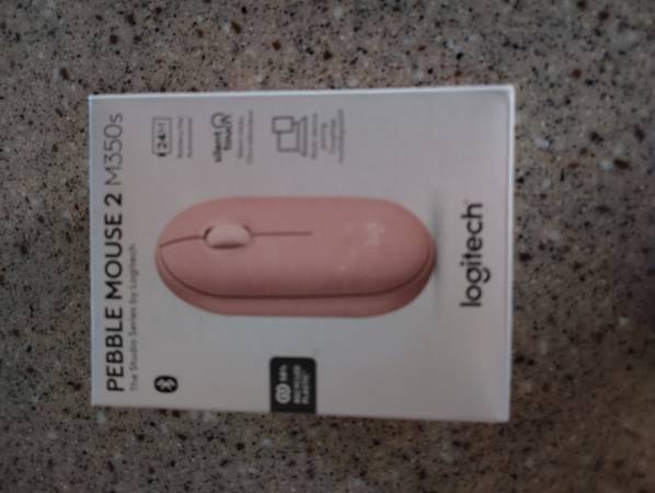 Computer Mouse 1