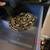 Ball pythons for sale 2 thumbnail