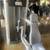 Commercial Gym Equipment 500+ Pieces for Sale 11 thumbnail