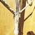 1920s French Style Metal Cottage White Floral Wall  Candelabra lamps 5 thumbnail
