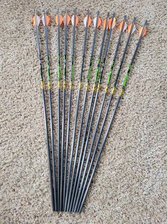 Gold Tip Hunter XT 340 Arrows (12) 1
