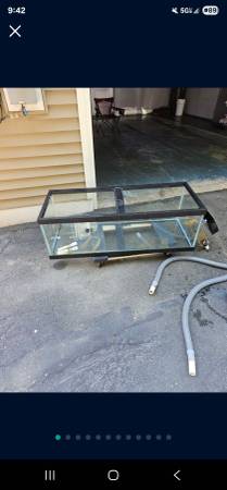 60 gallon breeder aquarium 1