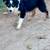 Aussie pup 4 thumbnail