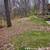 Fall clean snow removal,landscape,junk removal and handyman 9 thumbnail