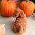 Mini poodle 3 thumbnail