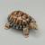 Wade Porcelain Turtle Trinket Box - Made in England 1 thumbnail