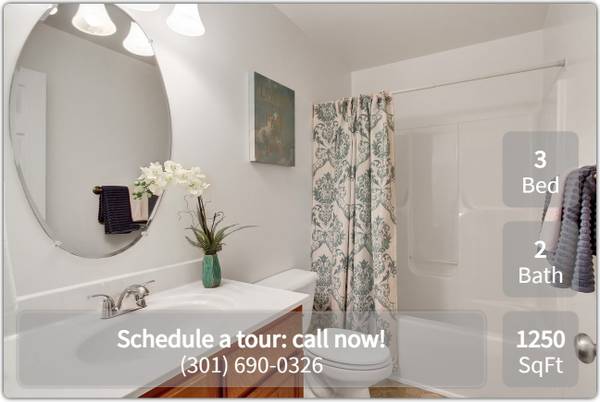 $1,536 / 3br - 1250ft2 - We have the perfect 3 bed 2 bath for you and your pets! Tour today! (Hagerstown - near Meritus Medical Center)63896036253954122
