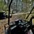 Golf Cart Evolution Forester 4 Plus 8 thumbnail