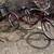 Schwinn three wheel bike 1 thumbnail