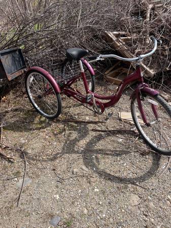 Schwinn three wheel bike 1