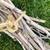 BIRCH TREE TWIG BUNDLES-Ck. Ideas 2 thumbnail