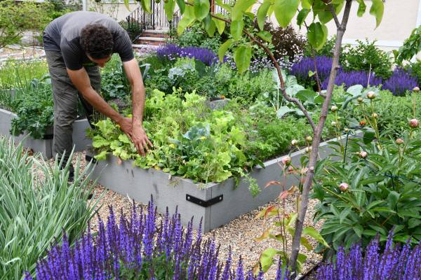 Edible Garden Company Hiring Gardener & Installation Specialist 1