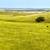 Versatile Cascade County Contiguous Acreage 17 thumbnail