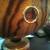 Korean drum 4 thumbnail