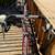 Mid 90's Diamond back Master TG road bike 9 thumbnail
