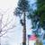 🏡🪵TREE REMOVAL 🌳& STUMP REMOVAL 📞CALL OR TEXT 💬253-414-3805 13 thumbnail