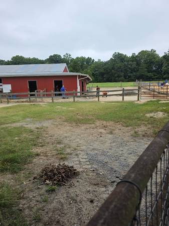 Barn cleaner part time 1