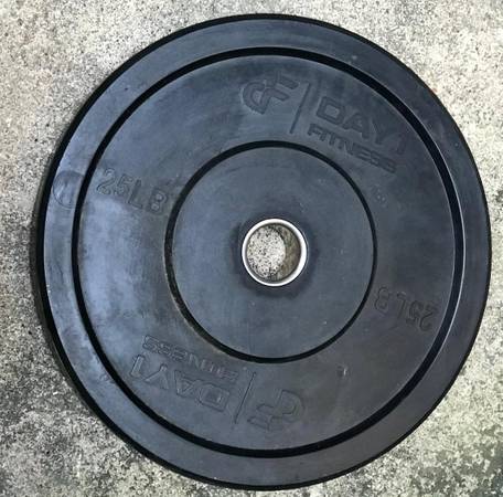 Day1 Fitness Cast Iron Rubberized Olympic Weight Plate (25 lbs) [x1] 1