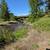 14+ Acres with over 500' Of Deep Creek Frontage and Several ponds! 14 thumbnail