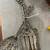 Serving Utensils 1 thumbnail