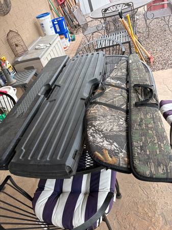 Gun cases 1