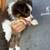 Mini-Mini Australian Shepherd Pups 1 thumbnail