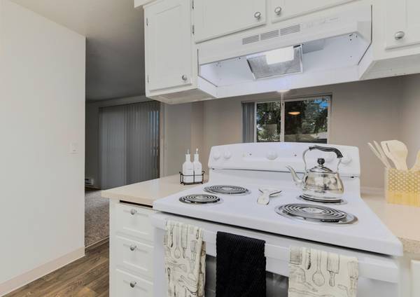$1,450 / 2br - UPDATED- CALL & COME TOUR - Affordable Location - Pet Friendly 1B (Rockwood Area)63867269768449122