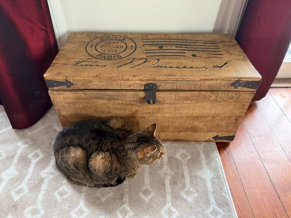 Solid Wood Storage Chest 1