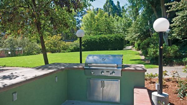 $2,780 / 1hab - 600ft2 - Área de picnic, Disponibles arrendamientos de tres a doce meses, 1/hab 1/ba (mill valley)63668044619777121