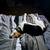 Treeing walker 2 thumbnail