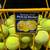 🎾 Tennis Ball Pick-up Basket 8 thumbnail