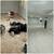 FLOORING INSTALLATION, PAINTING, DRYWALL INSTALL, REPAIRS 2 thumbnail