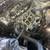 HEAD GASKETS***ENGINE REPAIRS***TIMING KITS***ASE CERTIFIED 6 thumbnail