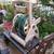 Live plants,trellis,pots/planters,furniture in/out,wheelbarrows,tools+ 22 thumbnail