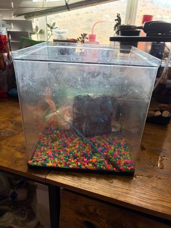 Fish tank 1