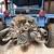1953 VW Bug Conversion Project – Family Owned 3 thumbnail
