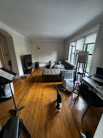 $1,870 / 1br - 835ft2 - 1br | East Lakeview/Boystown | Dic 1 (Flexible) (Chicago)64041648234499120