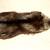 Russian Silver or Blue Fox Fur Stole 8 thumbnail