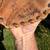 $180 LEFT HAND 12.5" First Base Slowpitch Softball Baseball Glove Mitt 2 thumbnail