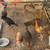 Pullets/gamefowl 2 thumbnail