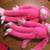 Ganz Spunky Monkey--velcro hands for hanging / hugging, 18". New w/tag 1 thumbnail