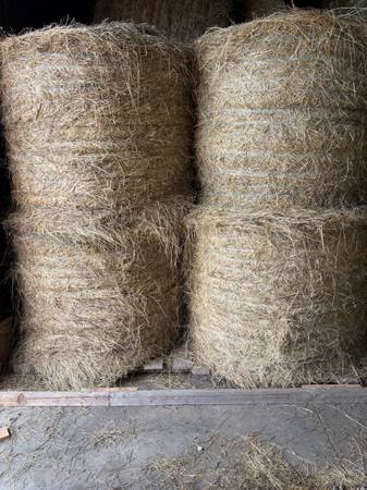 65 1st cutting mixed grass 4x5 large round hay bales 1