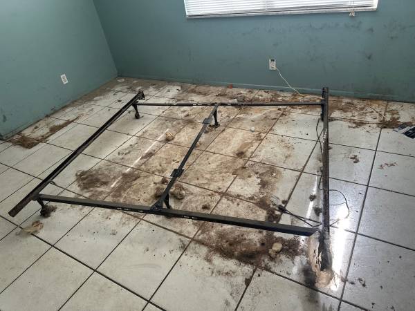Same-day move out deep cleaning. Airbnb, offices, post construction 1