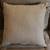 Throw Pillows (2) -- $15 for both -or- your choice! 7 thumbnail