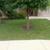 Landscaping, Lawn & Garden Art 🌿 23 thumbnail