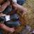 Feeder pigs 1 thumbnail